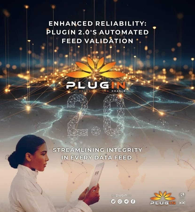 Automated Feed Validation