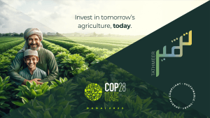 Plugin at COP 28